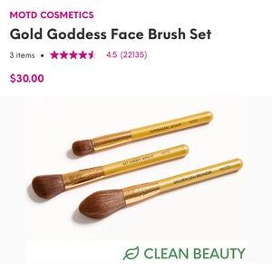 NWT Ipsy MOTD Gold Goddess Face Brush Set